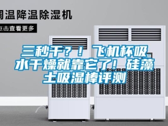 企業(yè)新聞三秒干？! 飛機杯吸水干燥就靠它了! 硅藻土吸濕棒評測