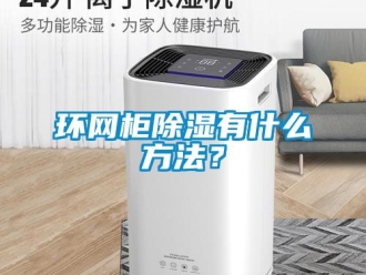 企業(yè)新聞環(huán)網(wǎng)柜除濕有什么方法？