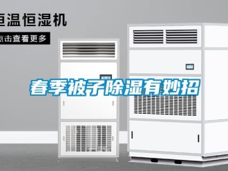 企業(yè)新聞春季被子除濕有妙招