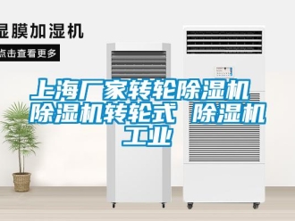 企業(yè)新聞上海廠家轉(zhuǎn)輪除濕機 除濕機轉(zhuǎn)輪式 除濕機工業(yè)