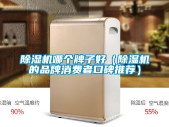 企業(yè)新聞除濕機哪個牌子好（除濕機的品牌消費者口碑推薦）