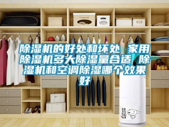 常見問題除濕機(jī)的好處和壞處 家用除濕機(jī)多大除濕量合適 除濕機(jī)和空調(diào)除濕哪個效果好