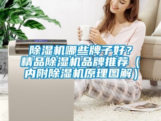 企業(yè)新聞除濕機哪些牌子好？精品除濕機品牌推薦（內附除濕機原理圖解）