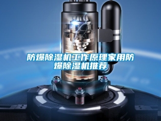 企業新聞防爆除濕機工作原理家用防爆除濕機推薦