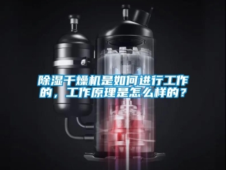 企業(yè)新聞除濕干燥機是如何進行工作的，工作原理是怎么樣的？