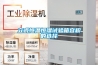立式恒溫恒濕試驗(yàn)箱容積的選擇