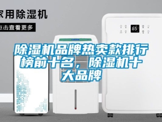 企業新聞除濕機品牌熱賣款排行榜前十名，除濕機十大品牌