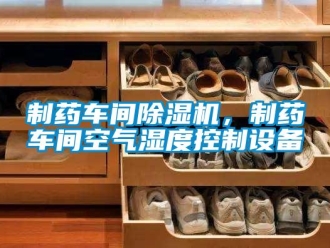 知識百科制藥車間除濕機(jī)，制藥車間空氣濕度控制設(shè)備