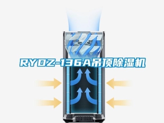 企業(yè)新聞RYDZ-136A吊頂除濕機