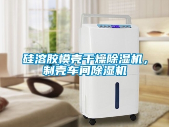 企業(yè)新聞硅溶膠模殼干燥除濕機，制殼車間除濕機
