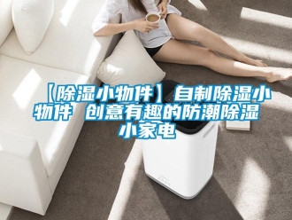 常見問題【除濕小物件】自制除濕小物件 創意有趣的防潮除濕小家電