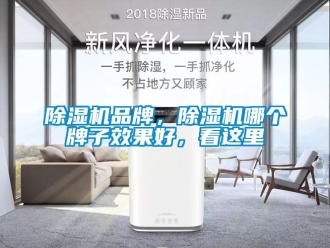 企業新聞除濕機品牌，除濕機哪個牌子效果好，看這里