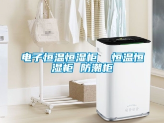 知識百科電子恒溫恒濕柜  恒溫恒濕柜 防潮柜