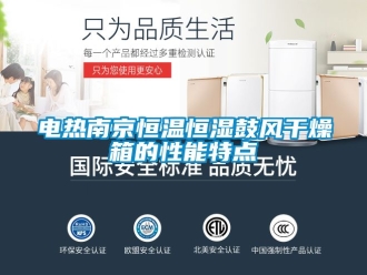 知識百科電熱南京恒溫恒濕鼓風干燥箱的性能特點