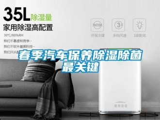 企業(yè)新聞春季汽車保養(yǎng)除濕除菌最關(guān)鍵