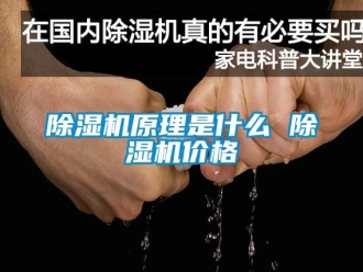 企業(yè)新聞除濕機原理是什么 除濕機價格