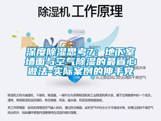 企業(yè)新聞深度除濕思考7：地下室墻面與空氣除濕的最省心做法-實(shí)際案例的伸手黨