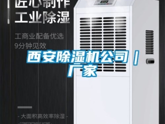 企業(yè)新聞西安除濕機公司｜廠家