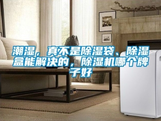 企業新聞潮濕，真不是除濕袋、除濕盒能解決的，除濕機哪個牌子好