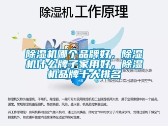 企業新聞除濕機哪個品牌好，除濕機什么牌子家用好，除濕機品牌十大排名