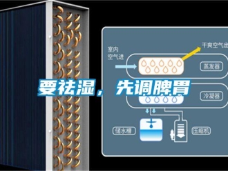 知識百科要祛濕，先調(diào)脾胃