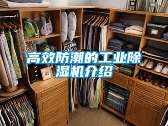 常見問題高效防潮的工業(yè)除濕機介紹