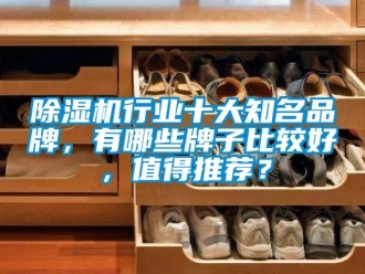 企業(yè)新聞除濕機行業(yè)十大知名品牌，有哪些牌子比較好，值得推薦？