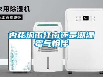 知識(shí)百科杏花煙雨江南還是潮濕霉氣相伴
