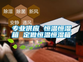 知識百科專業供應 恒溫恒濕箱 定做恒溫恒濕箱
