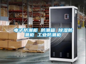 常見問題電子防潮柜 防潮箱 除濕防潮柜 工業(yè)防潮柜