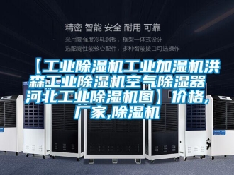 企業(yè)新聞【工業(yè)除濕機(jī)工業(yè)加濕機(jī)洪森工業(yè)除濕機(jī)空氣除濕器河北工業(yè)除濕機(jī)圖】價(jià)格,廠家,除濕機(jī)