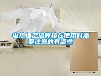 知識百科電熱恒溫培養箱在使用時需要注意的有哪些