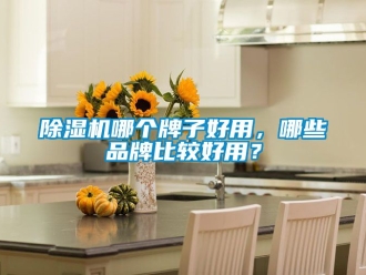 企業(yè)新聞除濕機(jī)哪個(gè)牌子好用，哪些品牌比較好用？