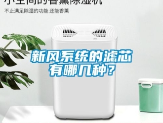 企業(yè)新聞新風(fēng)系統(tǒng)的濾芯有哪幾種？