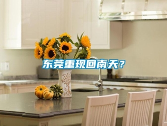 企業新聞東莞重現回南天？