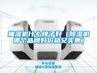 企業新聞抽濕機什么牌子好（除濕機哪個品牌好價格又實惠）