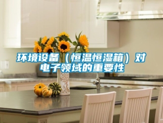 知識(shí)百科環(huán)境設(shè)備（恒溫恒濕箱）對(duì)電子領(lǐng)域的重要性