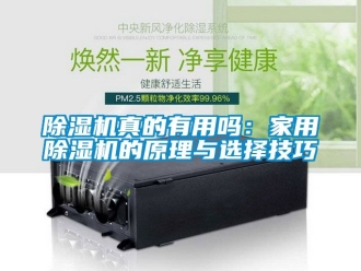 常見問題除濕機(jī)真的有用嗎：家用除濕機(jī)的原理與選擇技巧