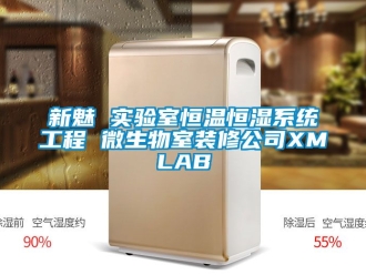 知識(shí)百科新魅 實(shí)驗(yàn)室恒溫恒濕系統(tǒng)工程 微生物室裝修公司XMLAB