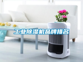 常見問題工業(yè)除濕機(jī)品牌排名
