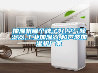 企業(yè)新聞抽濕機(jī)哪個(gè)牌子好,空氣除濕器,工業(yè)加濕器,超聲波加濕機(jī)廠家