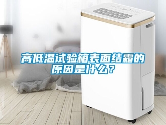 常見問題高低溫試驗箱表面結霜的原因是什么？