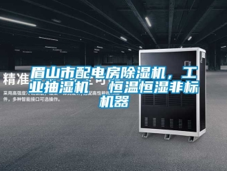 常見問題眉山市配電房除濕機(jī)，工業(yè)抽濕機(jī)  恒溫恒濕非標(biāo)機(jī)器