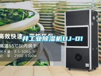 常見問題東井工業(yè)除濕機(jī)DJ-01