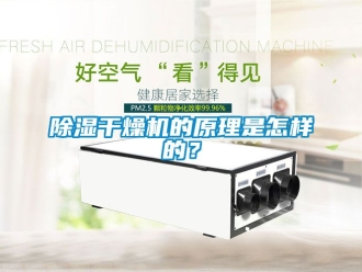 企業(yè)新聞除濕干燥機的原理是怎樣的？