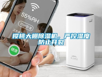 知識百科櫻桃大棚除濕機，嚴控濕度防止開裂