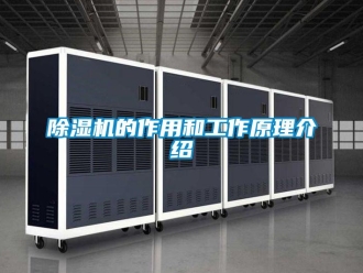 企業(yè)新聞除濕機(jī)的作用和工作原理介紹