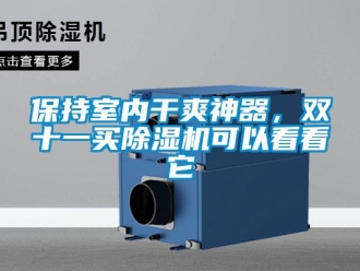 企業(yè)新聞保持室內(nèi)干爽神器，雙十一買除濕機(jī)可以看看它