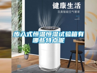 知識百科步入式恒溫恒濕試驗箱有哪些特點呢