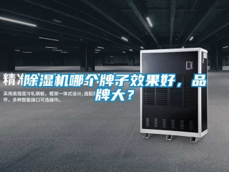 企業新聞除濕機哪個牌子效果好，品牌大？